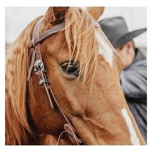 STS Ranch Engraved Buckle 3/4-in Harness Leather Browband Horse Headstall Floral - Item # 52128