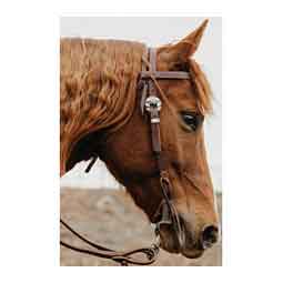 STS Ranch Engraved Buckle 3/4-in Harness Leather Browband Horse Headstall Floral - Item # 52128