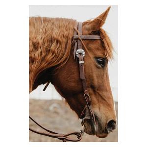 STS Ranch Engraved Buckle 3/4-in Harness Leather Browband Horse Headstall Floral - Item # 52128