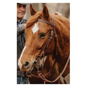 STS Ranch Engraved Buckle 3/4-in Harness Leather Browband Horse Headstall Floral - Item # 52128