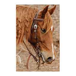 STS Ranch Engraved Buckle 3/4-in Harness Leather Browband Horse Headstall Engraved - Item # 52128