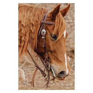 STS Ranch Engraved Buckle 3/4-in Harness Leather Browband Horse Headstall Engraved - Item # 52128