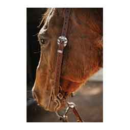 STS Ranch Engraved Buckle 3/4-in Harness Leather Split Ear Horse Headstall Floral - Item # 52129