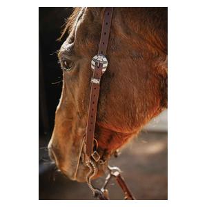 STS Ranch Engraved Buckle 3/4-in Harness Leather Split Ear Horse Headstall Floral - Item # 52129