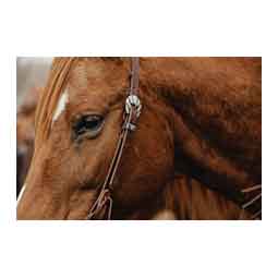 STS Ranch Engraved Buckle 3/4-in Harness Leather Split Ear Horse Headstall Engraved - Item # 52129