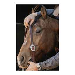 STS Ranch Engraved Buckle 1-in Harness Leather Split Ear Horse Headstall Floral - Item # 52130