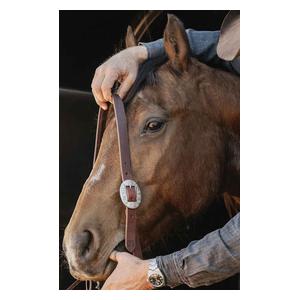 STS Ranch Engraved Buckle 1-in Harness Leather Split Ear Horse Headstall Floral - Item # 52130