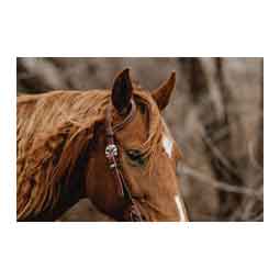 STS Ranch Engraved Buckle 3/4-in Harness Leather Sliding Ear Horse Headstall Floral - Item # 52136