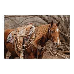 STS Ranch Engraved Buckle 3/4-in Harness Leather Sliding Ear Horse Headstall Engraved - Item # 52136