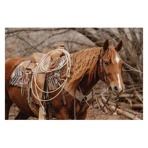 STS Ranch Engraved Buckle 3/4-in Harness Leather Sliding Ear Horse Headstall Engraved - Item # 52136