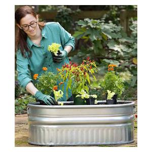 Farmstead Utility Oval Galvanized Stock Tank with Handles 25 gallon (18 x 35 x 12 in) - Item # 52188