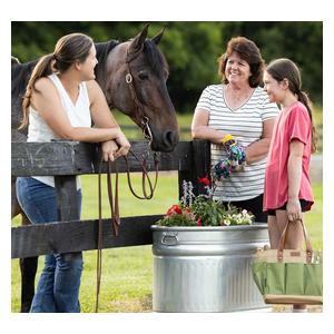 Farmstead Utility Oval Galvanized Stock Tank with Handles 50 gallon (18 x 35 x 24 in) - Item # 52189