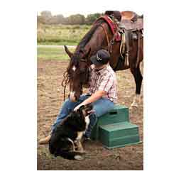 Barn Buddy Step Green - Item # 52209