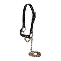 Next Level Chain Sheep and Goat Halter Black/Black - Item # 52231
