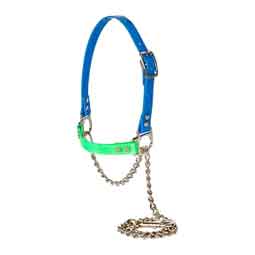 Next Level Chain Sheep and Goat Halter Light Blue/Lime Green - Item # 52231