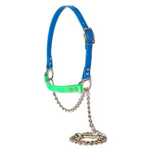 Next Level Chain Sheep and Goat Halter Light Blue/Lime Green - Item # 52231