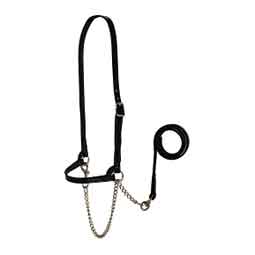 Dairy Show Halter Black - Item # 52242
