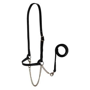 Dairy Show Halter Black - Item # 52242