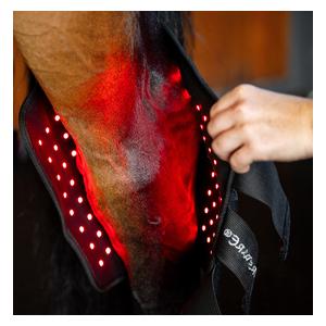 LED Red Light Therapy Full Hock Boot Left 1 ct - Item # 52261