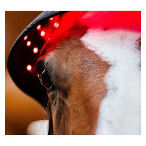 LED Red Light Therapy Poll Cap Full - Item # 52264