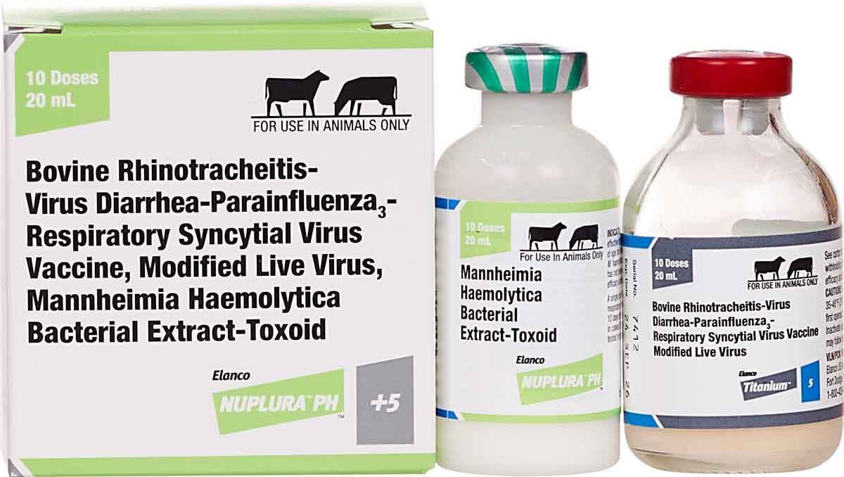 Valley Vet - Nuplura PH + 5 Cattle Vaccine Elanco Animal Health
