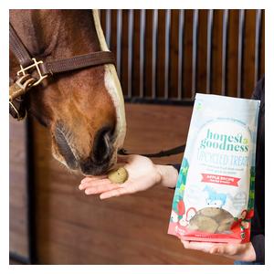 Honest to Goodness Upcycled Horse Treats Apple - Item # 52421