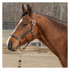 Kalley Krickeberg Breakaway Horseman's Halter Black - Item # 52548