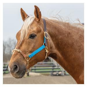 Kalley Krickeberg Breakaway Horseman's Halter Blue Hurricane/Tan - Item # 52548
