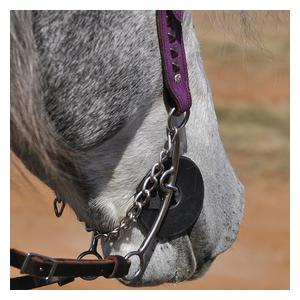 Bit Guards Black - Item # 52556