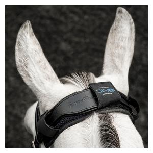 Ionic Therapy Horse Poll Cover Black - Item # 52586