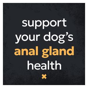 Filaquin Anal Gland Supplement Soft Chews for Dogs 90 ct - Item # 52630
