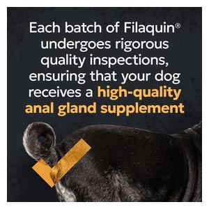 Filaquin Anal Gland Supplement Soft Chews for Dogs 90 ct - Item # 52630