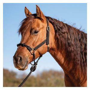 Nylon Rope Combo Horse Halter Black - Item # 52861