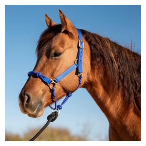 Nylon Rope Combo Horse Halter Blue - Item # 52861
