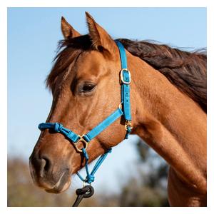 Nylon Rope Combo Horse Halter Turquoise - Item # 52861
