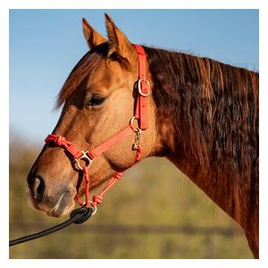 Nylon Rope Combo Horse Halter Red - Item # 52861