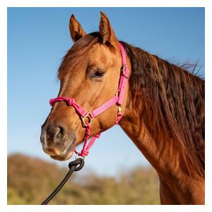 Nylon Rope Combo Horse Halter Pink - Item # 52861