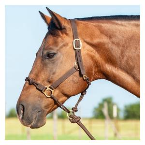 Nylon Rope Combo Horse Halter Brown - Item # 52861