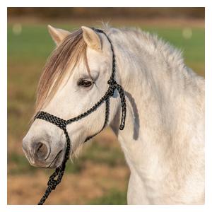 Flat Braid Pony Halter Black - Item # 52862