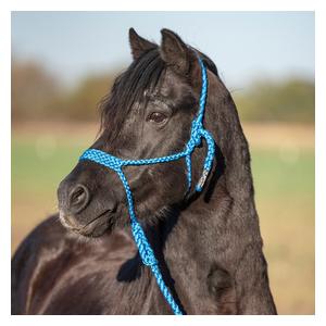 Flat Braid Pony Halter Blue - Item # 52862