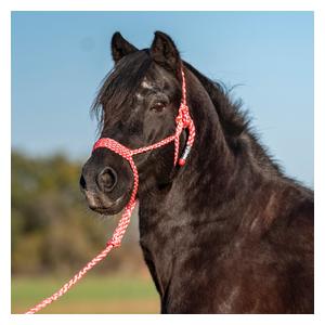 Flat Braid Pony Halter Pink - Item # 52862
