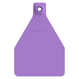 Herdsman 2-Piece Blank Cow Rivet ID Ear Tags Purple - Item # 52893