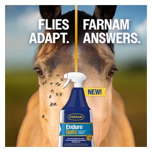 Endure Gold Killer Fly and Mosquito Control Spray for Horses 32 oz - Item # 52947