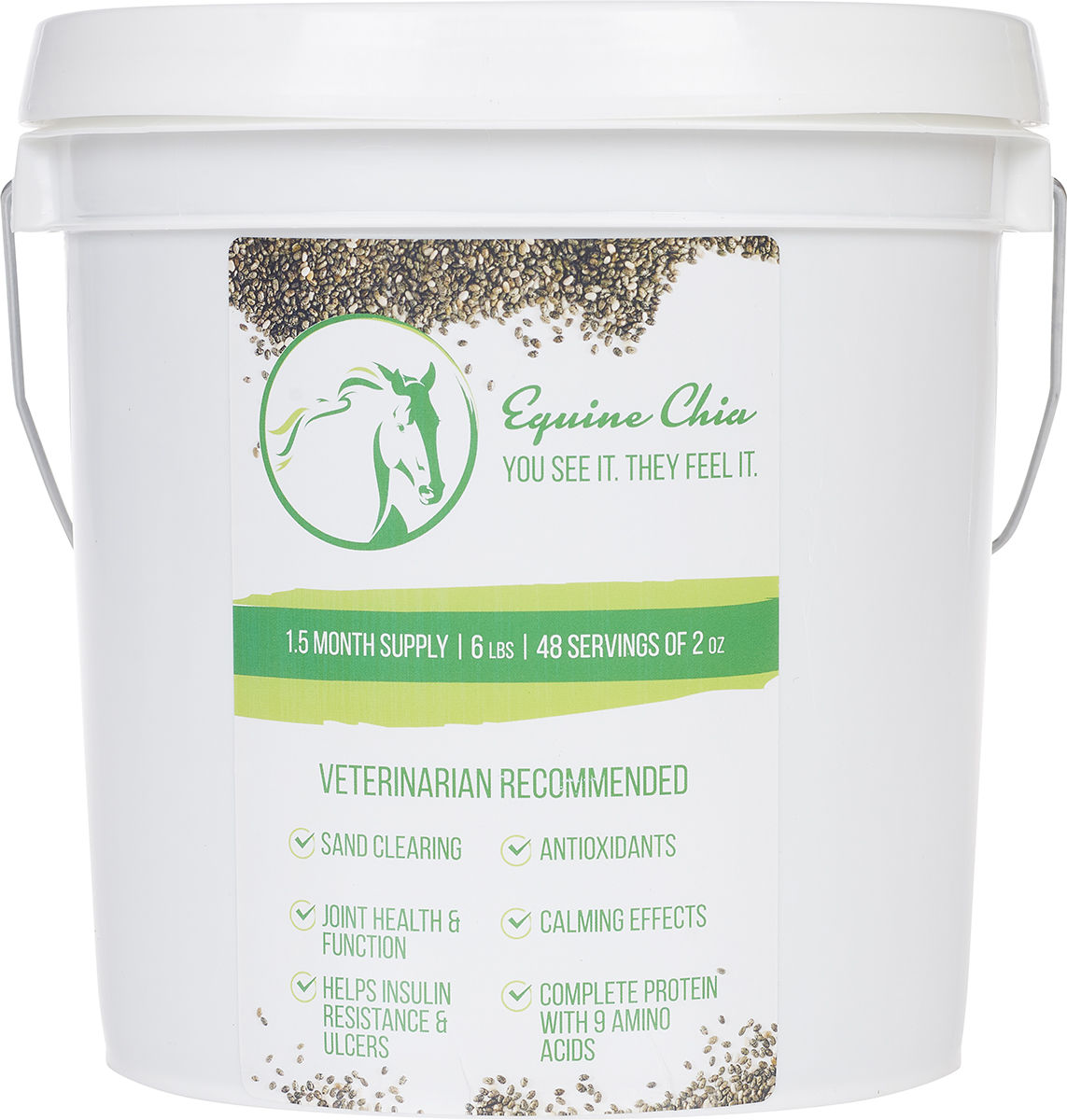 A closer look at Alexa App Setup For Equine Veterinarians