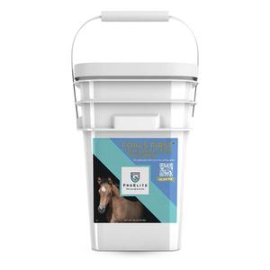 ProElite Foals First Milk Replacer Powder 22 lb - Item # 52962