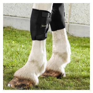 Therapeutic Horse Knee Boots Black - Item # 52978