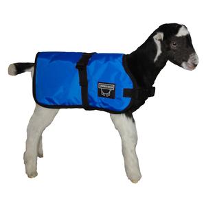 Insulated Kid and Lamb Blankets Blue - Item # 53019