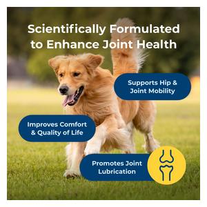Dyne Joint and Mobility Soft Chews for Dogs 45 ct - Item # 53049