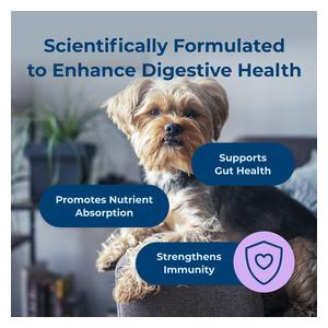 Dyne Digestion and Immune Soft Chews for Dogs 60 ct - Item # 53050