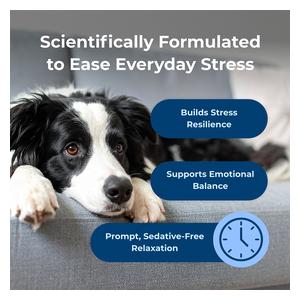 Dyne Calming and Stress Soft Chews for Dogs 60 ct - Item # 53051
